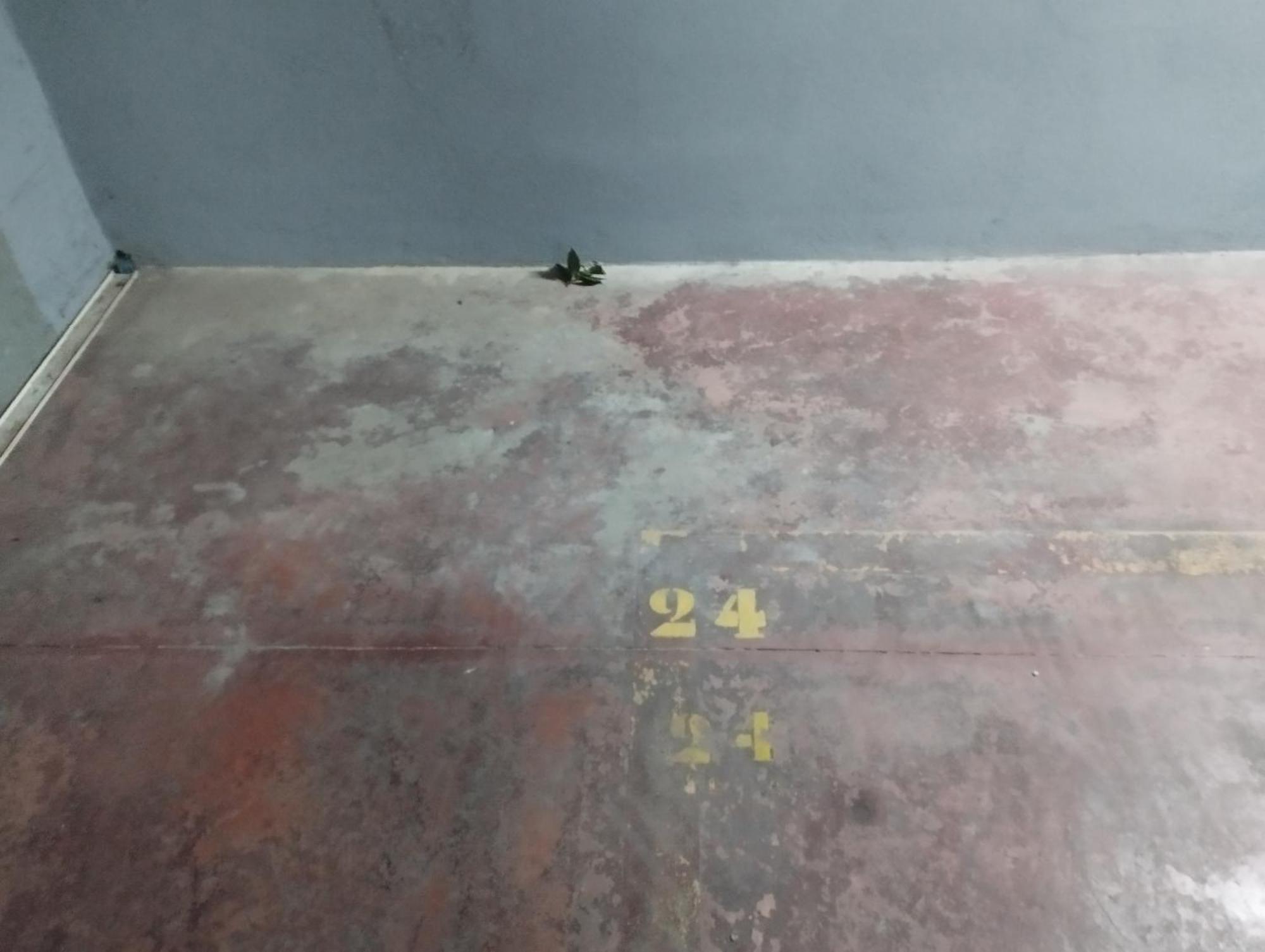 Apartment Barcelo 30, Terrace, Center, Garage On Request, Quite Neighborhood, Ba Malaga